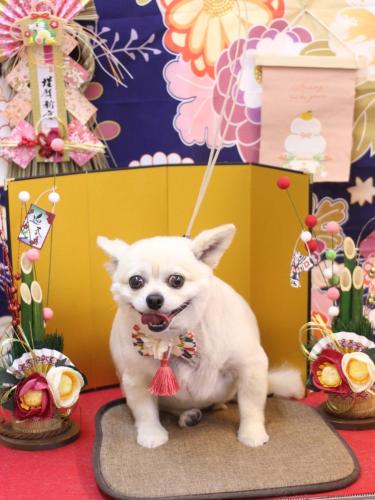 20240124ポロくん